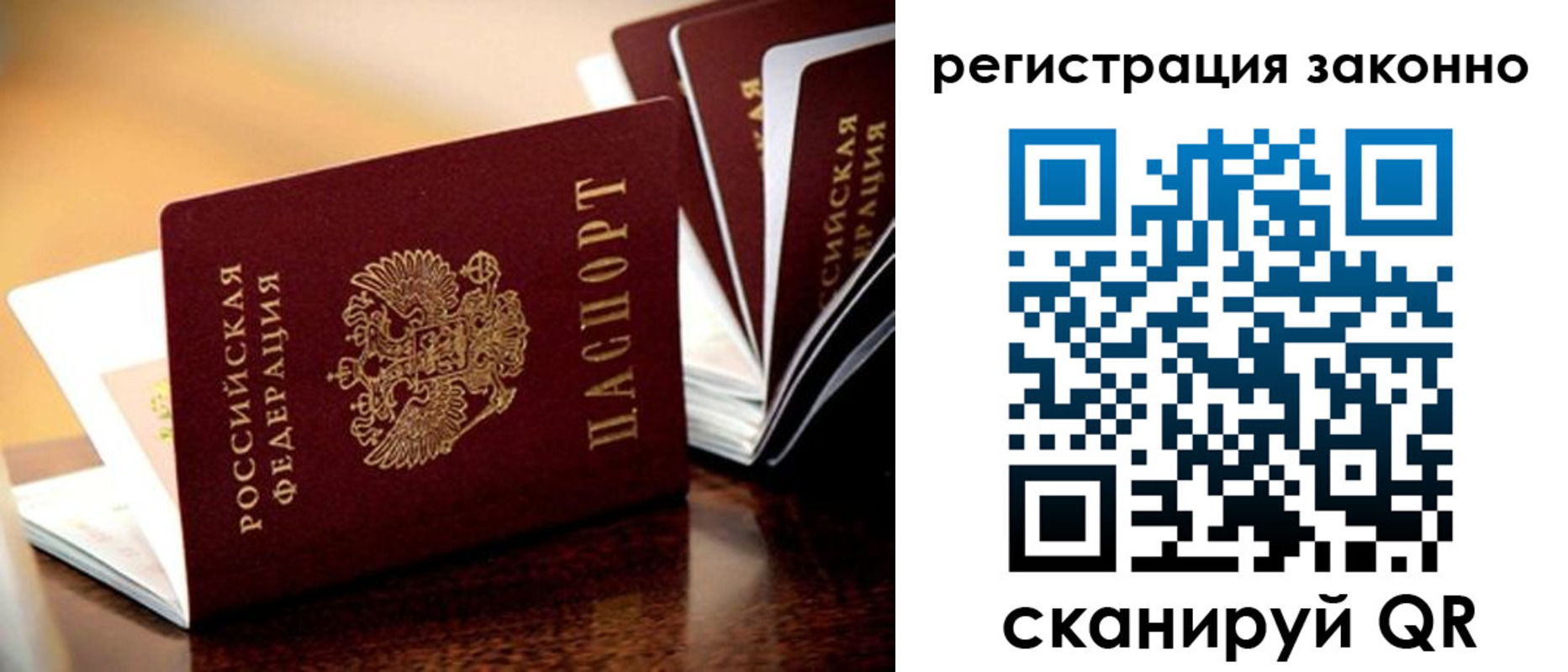 прописка для школы в Заполярном